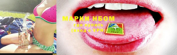 амф Алзамай