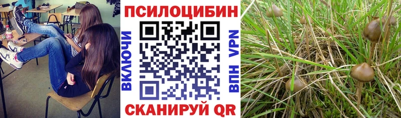 Галлюциногенные грибы ЛСД Жиздра